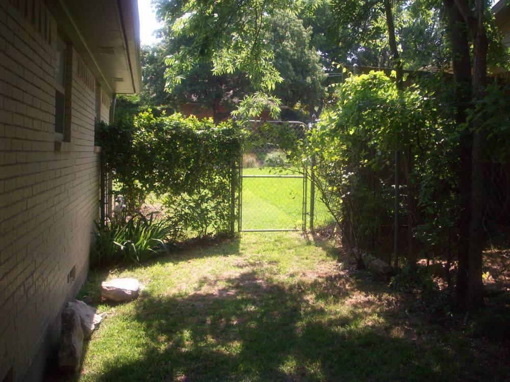 Front Corner of Backyard When We Bought the House