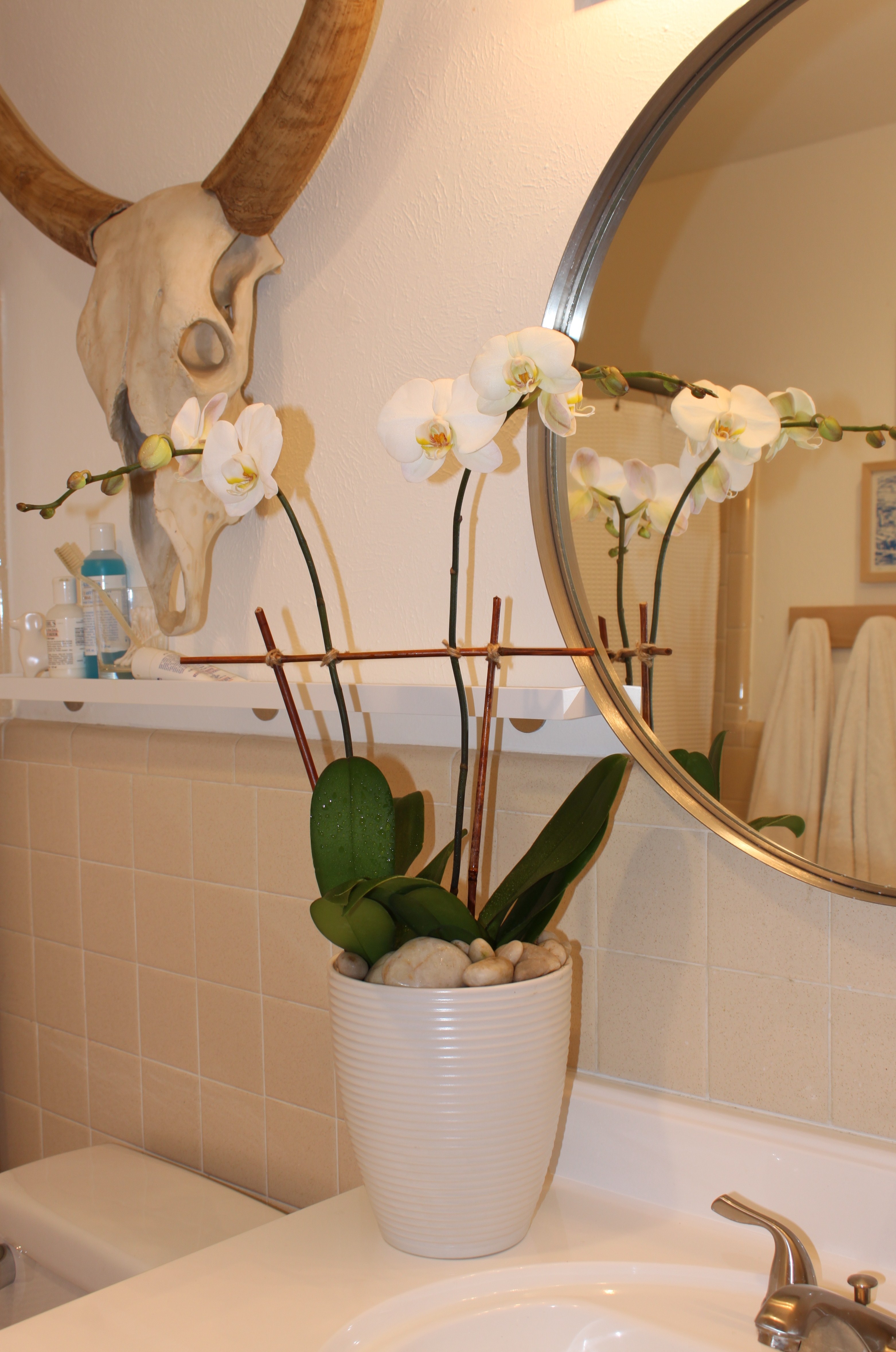 Finished Grocery Store Orchids in Bathroom