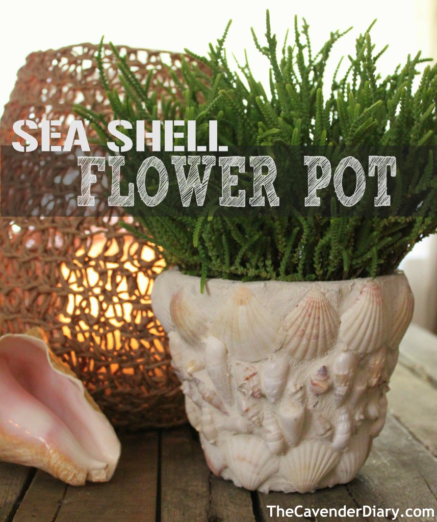 Sea Shell Flower Pot from the Cavender Diary Boys