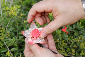 Close-up of Tin Reflector