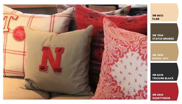 Pillows with Chip It!