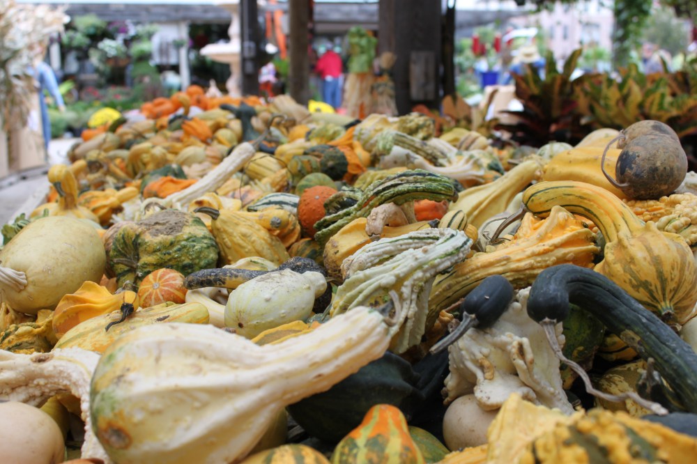Piles of Gourds at the Farmers Market