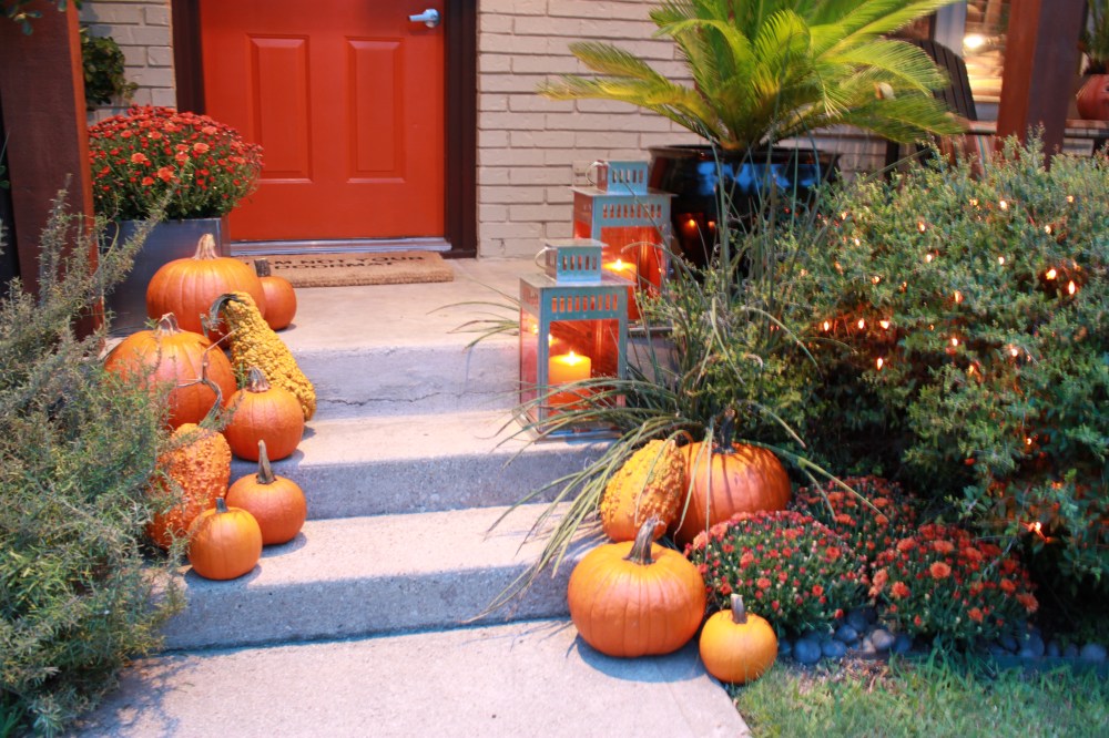 The Cavender Front Stop for October