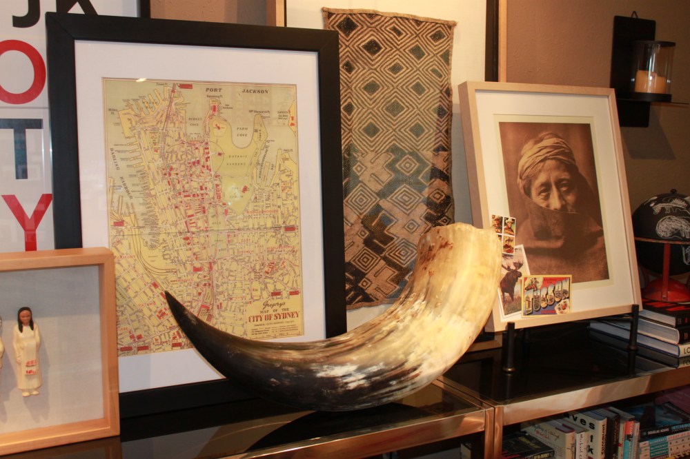 Giant Horn on Bookshelves