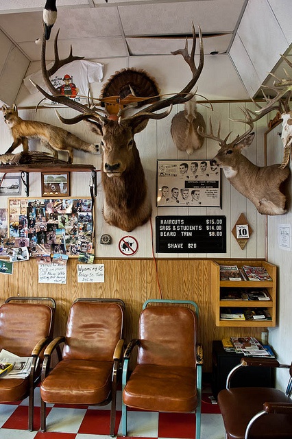 Barber SHop with Elk