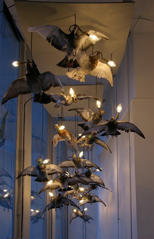 Pidgeon Light Fixtures