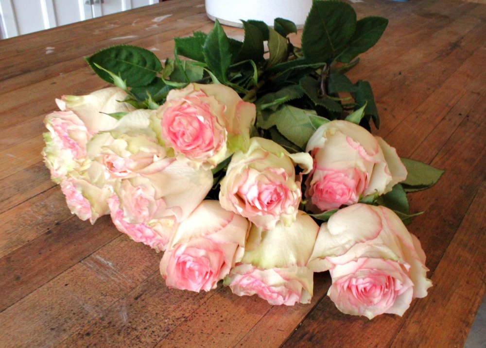 Cream and Pink Ruffled Roses