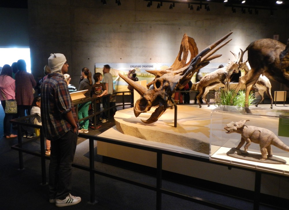 Winston and the Old Bones