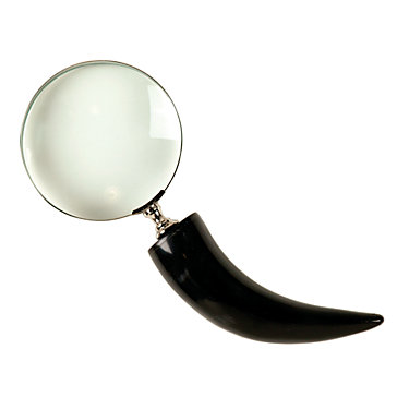 Franklin Magnifier
