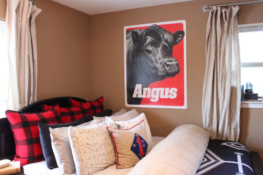 Angus Poster Hovering over the Guest Room Bed