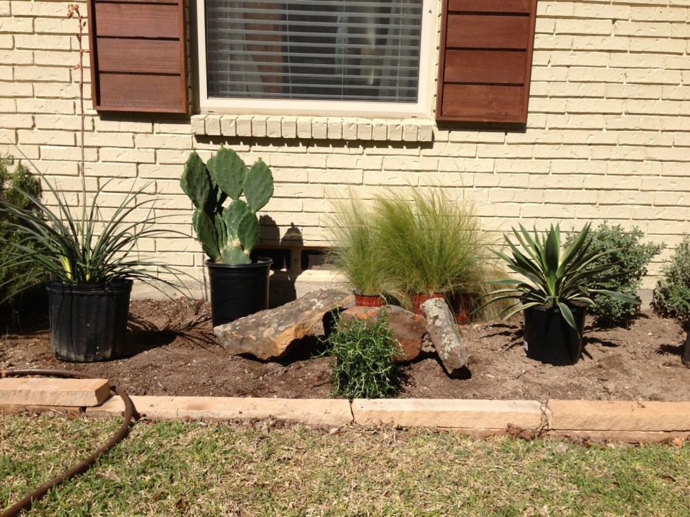Adding the Plants to the Bed
