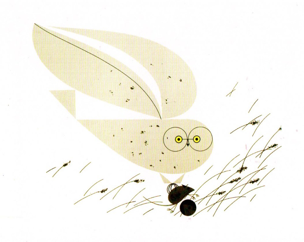 Charley Harper Barn Owl