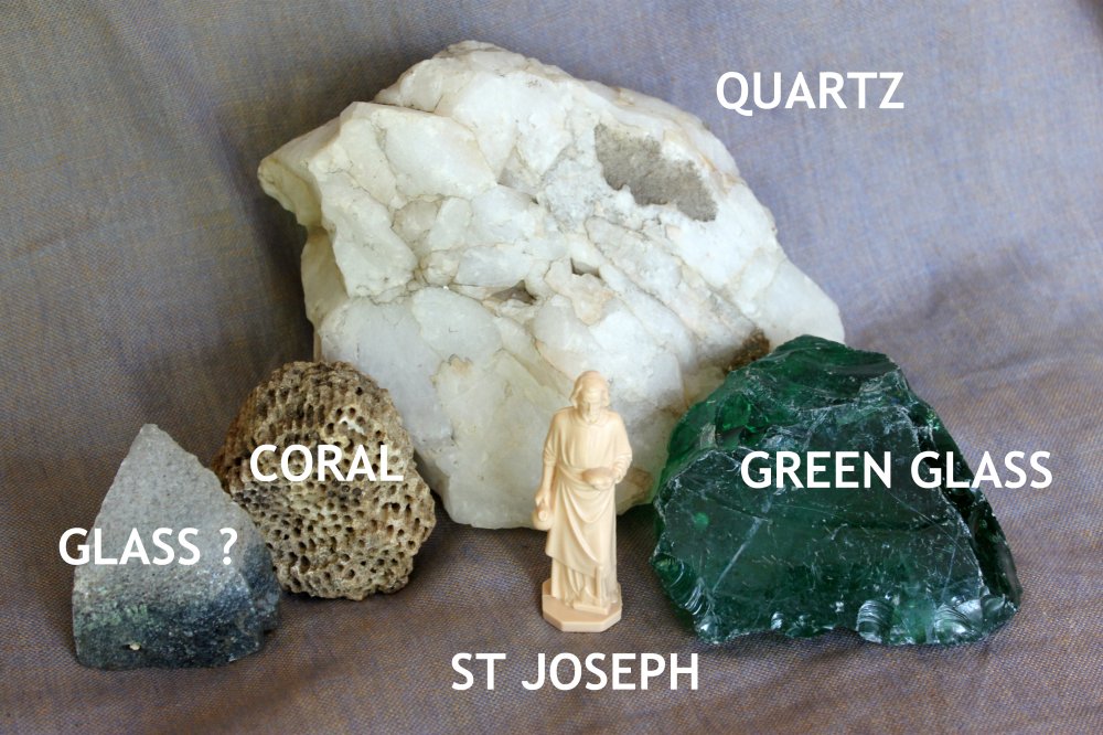 What We Found in the Flower Beds