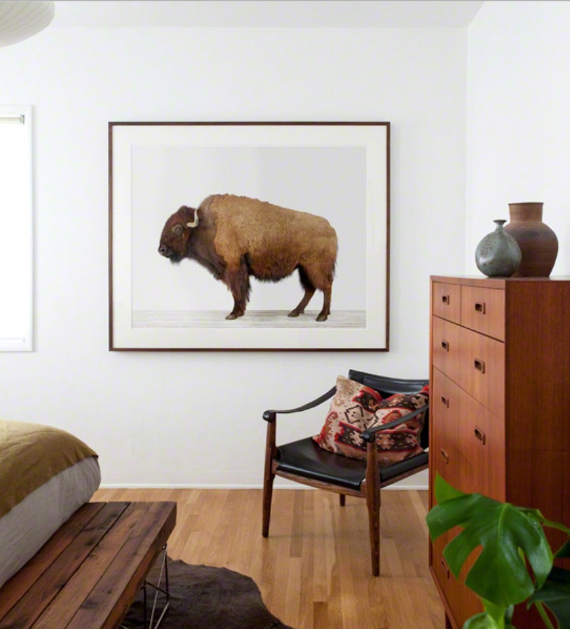American Buffalo Styled in Bedroom