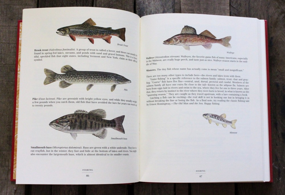 Identifing Fish inthe Dangerous Book for Boys 