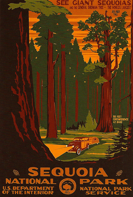 Sequoia National Park Poster