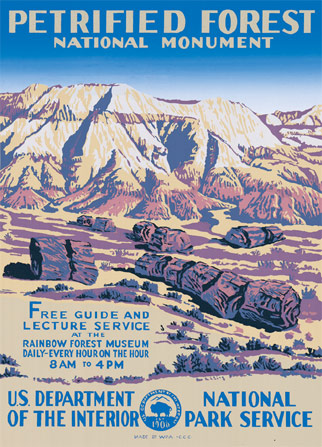 Pertified Forest National PArk Poster