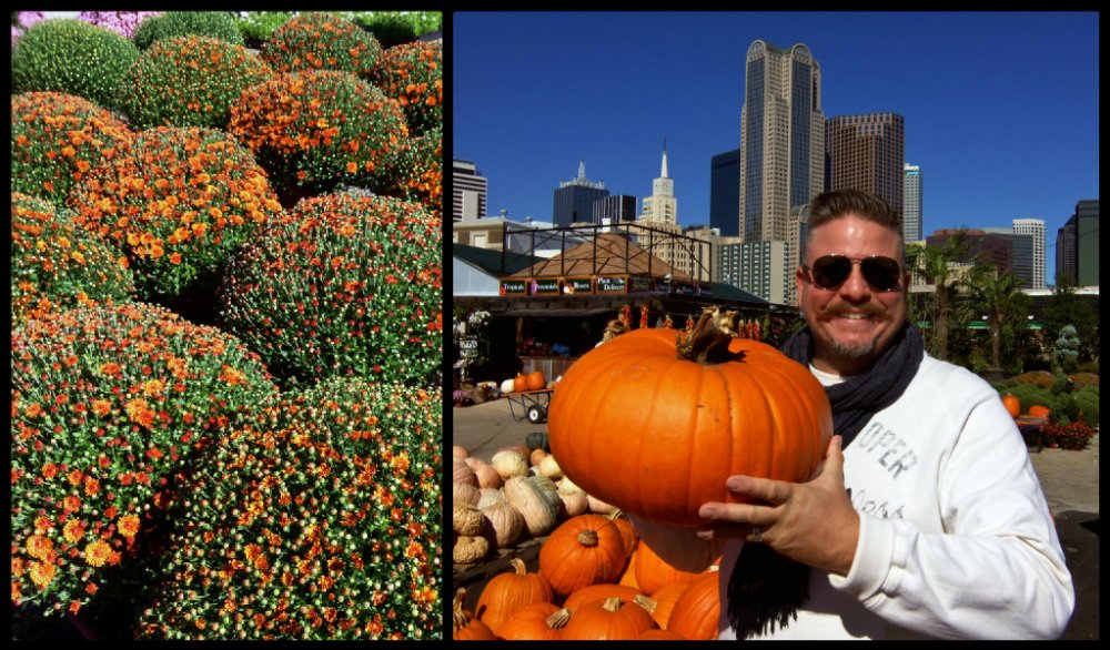 Autumn Farmers Market Collage2.jpg