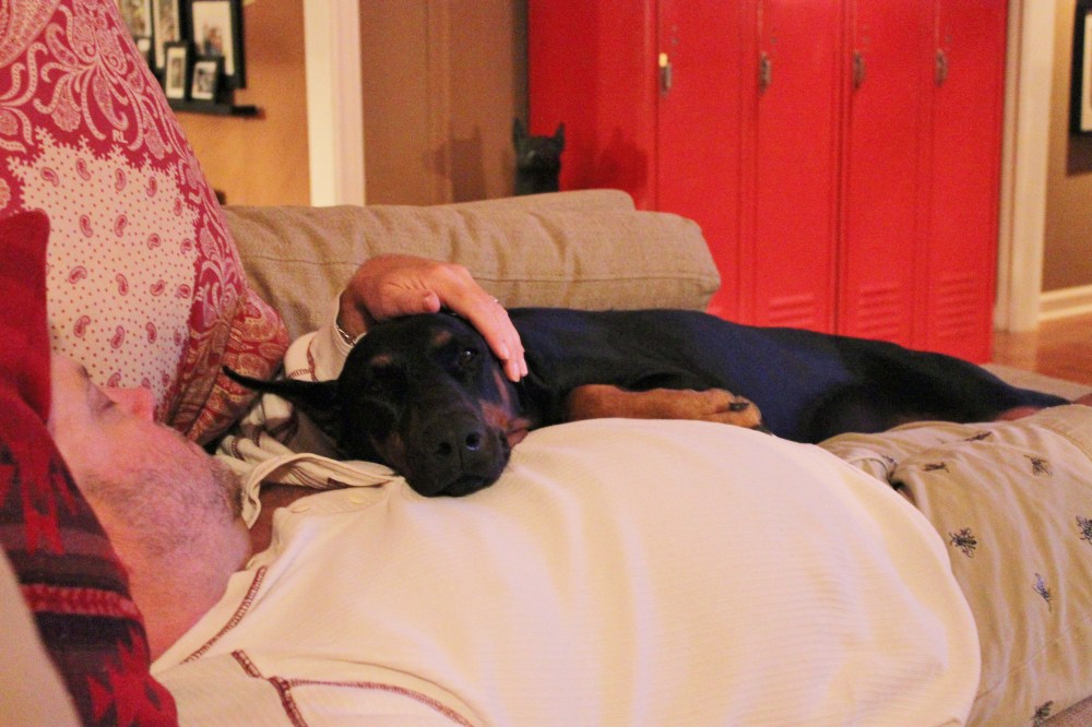 Harley Sleeping on Jamie