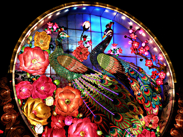 Moving Peacock Lantern at the Chinese LAntern Festival