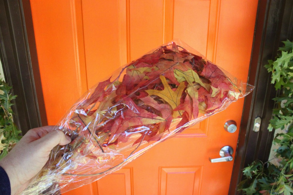 Preserved Fall Leaves from the Craft Store
