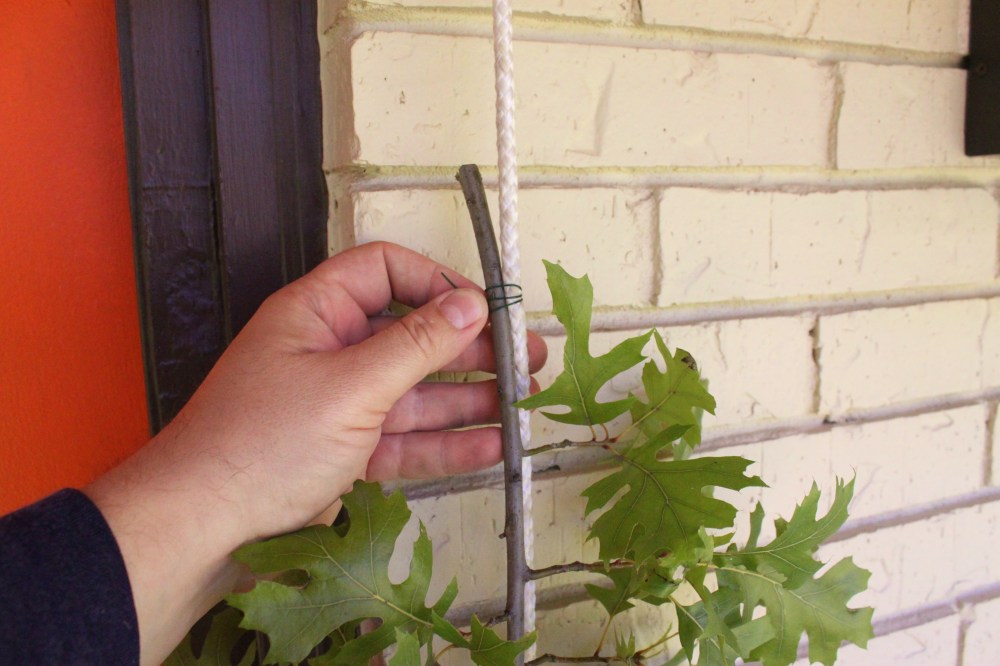 Start by Attaching Oak branches with Wire as a Base
