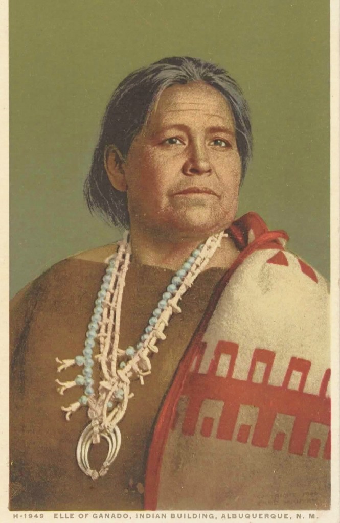 Elle of Ganado Fred Harvey Postcard