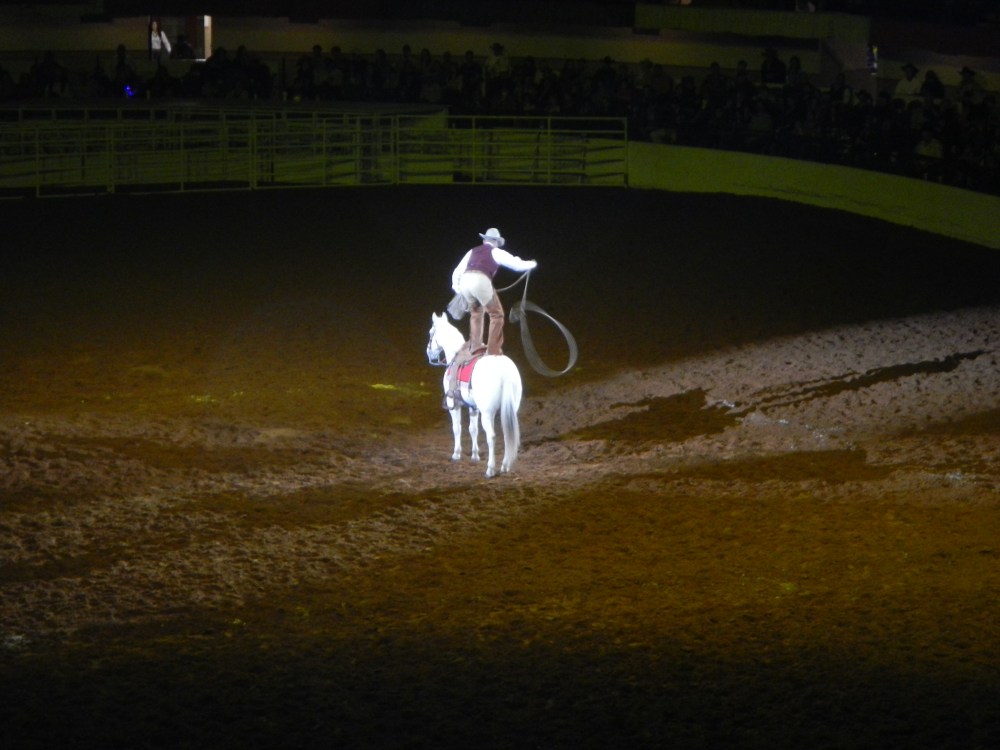 Lasso Artist at the Ft Worth Rodeo