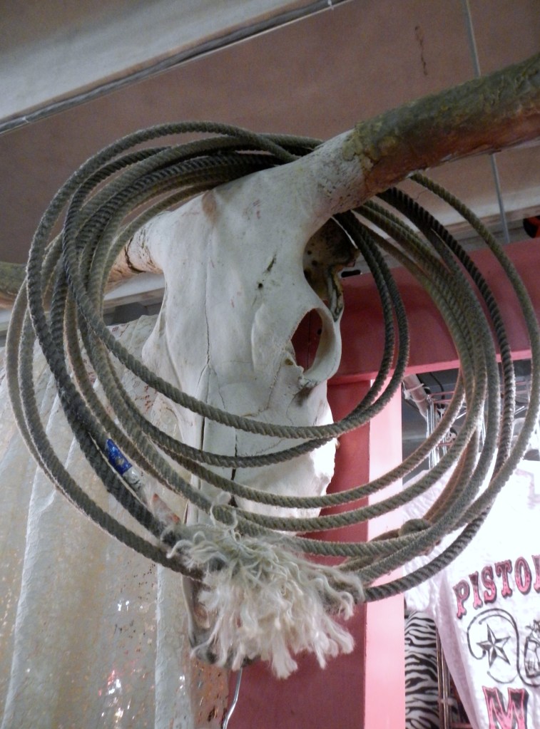 Lasso on th Cow Skull at the Ft Worth Stock Show