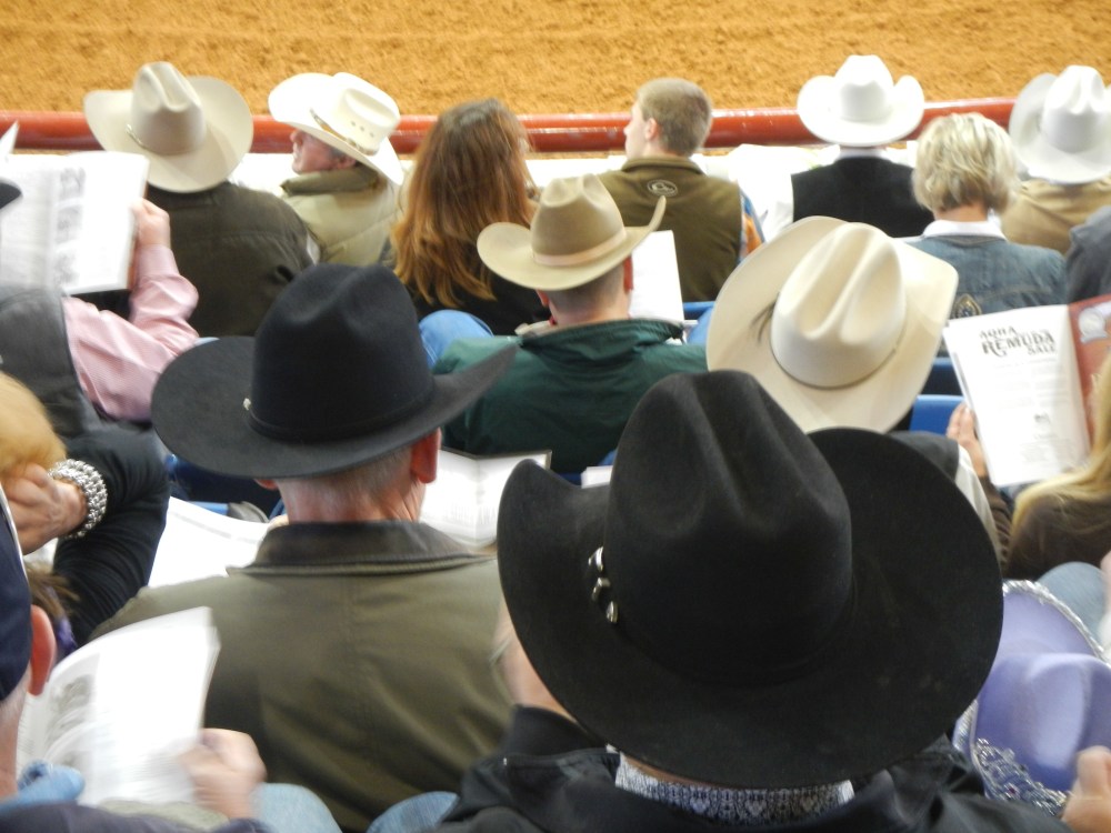 Sea of Cowboy Hats at the Ft Worth Stock Show