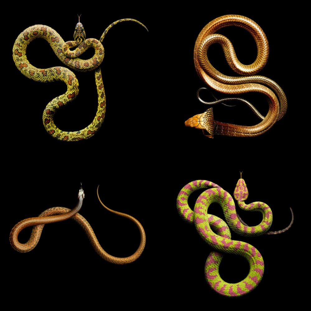 Mark Laita Snakes Collage3
