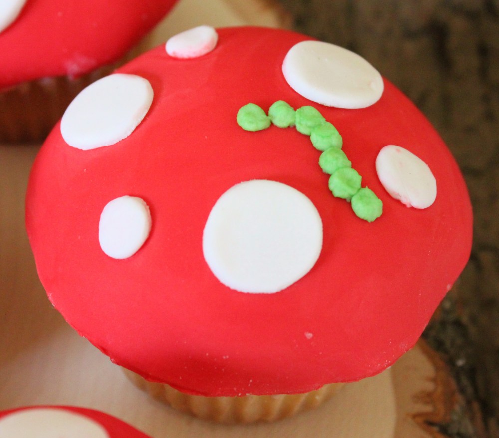 Close Up of the Mushroom Cup Cake with Catapillar