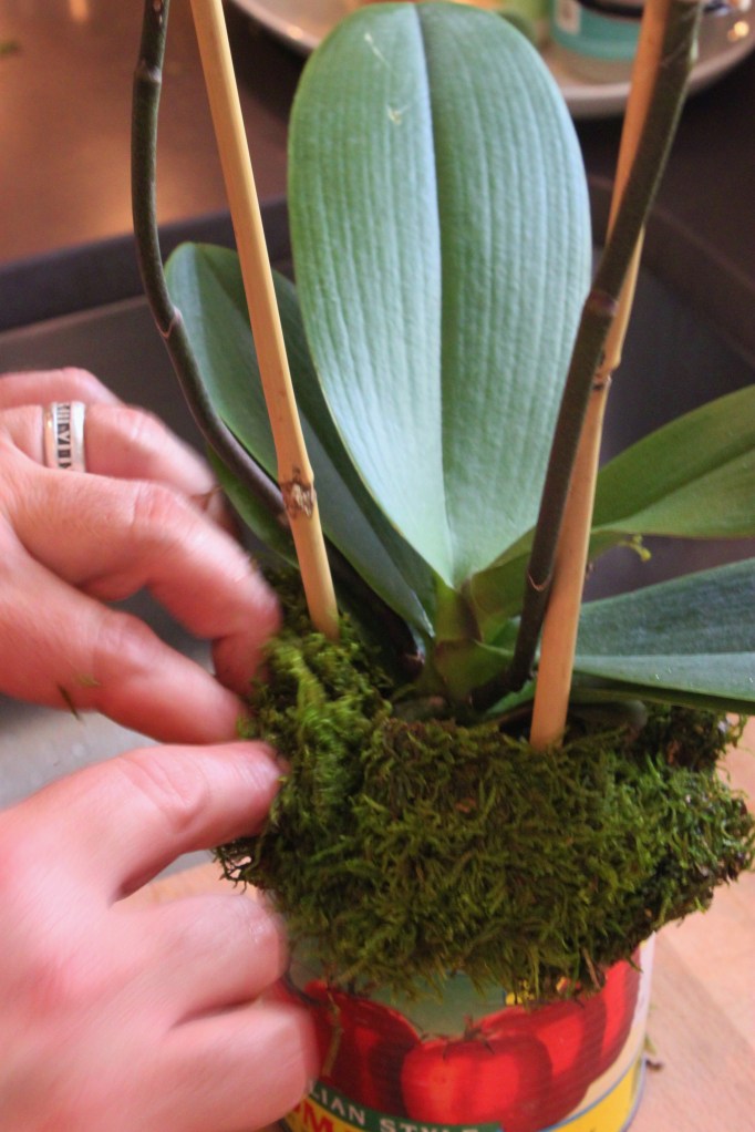 Cover the Roots With Wet Moss