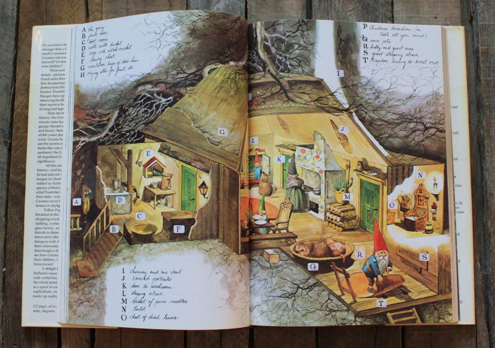 Illustration of a Typical Gnome House