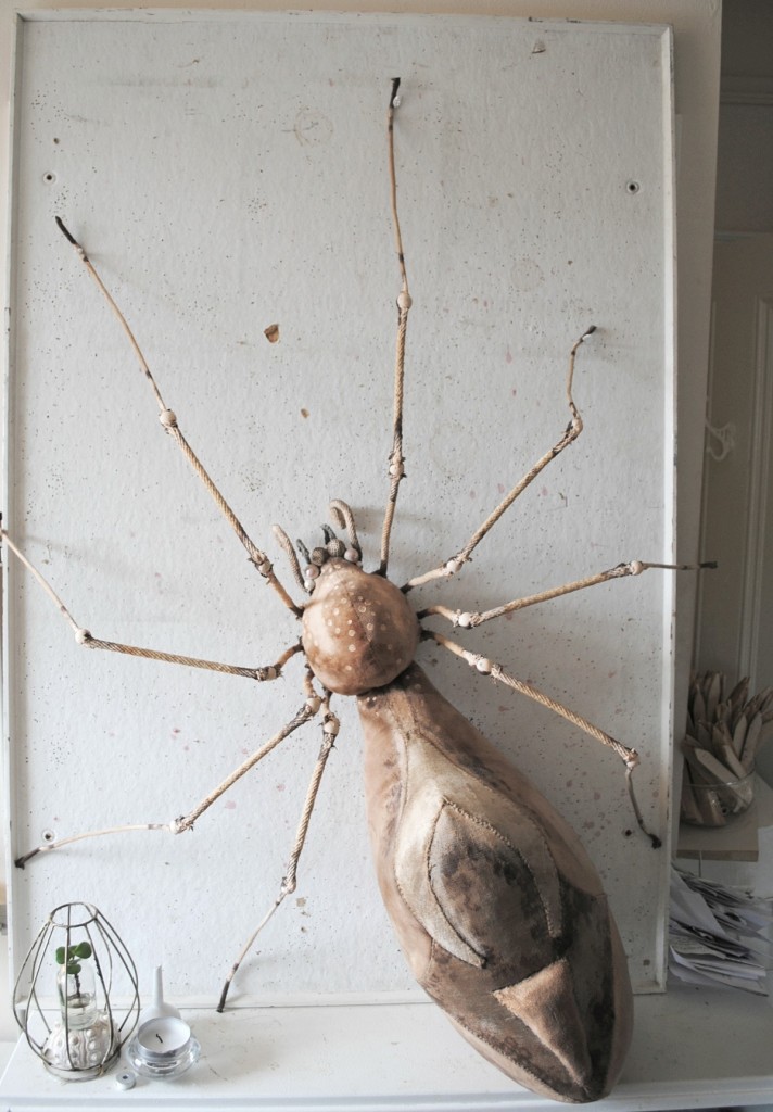 Large Velvet Spider by Mister Finch