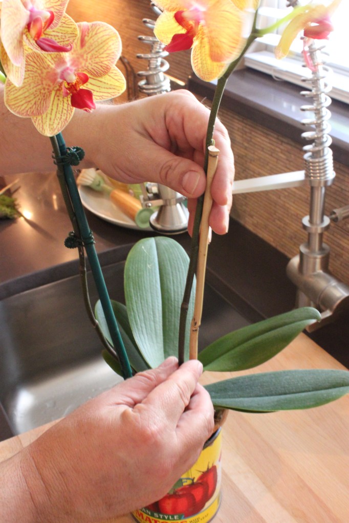 Replace the Bamboo with Something More Interesting