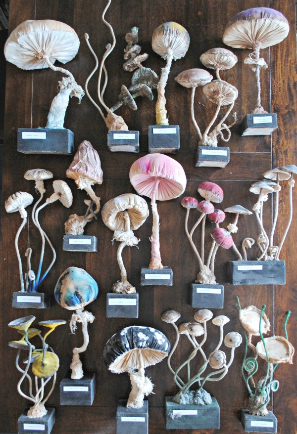 Textile Fungus Collection by Mister Finch