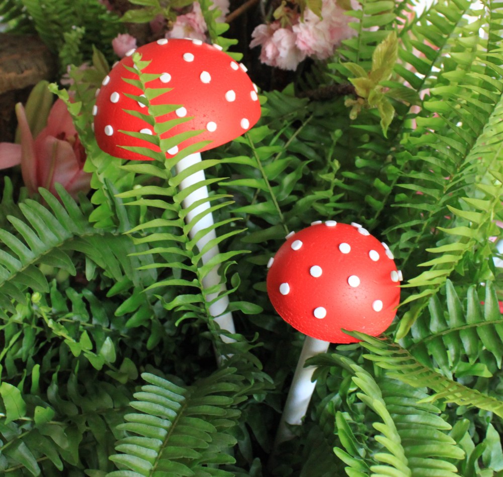 Toad Stools Tucked in the Ferns