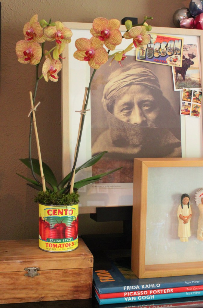 Tomato Can Orchid on the Shelves in the Living Room