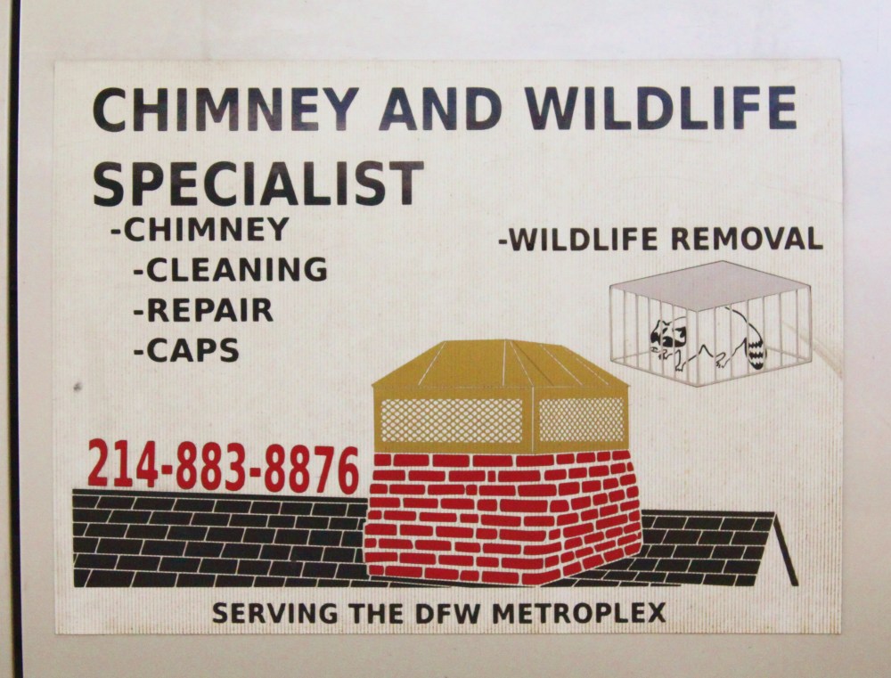 Chimney and Wildlife Specialists
