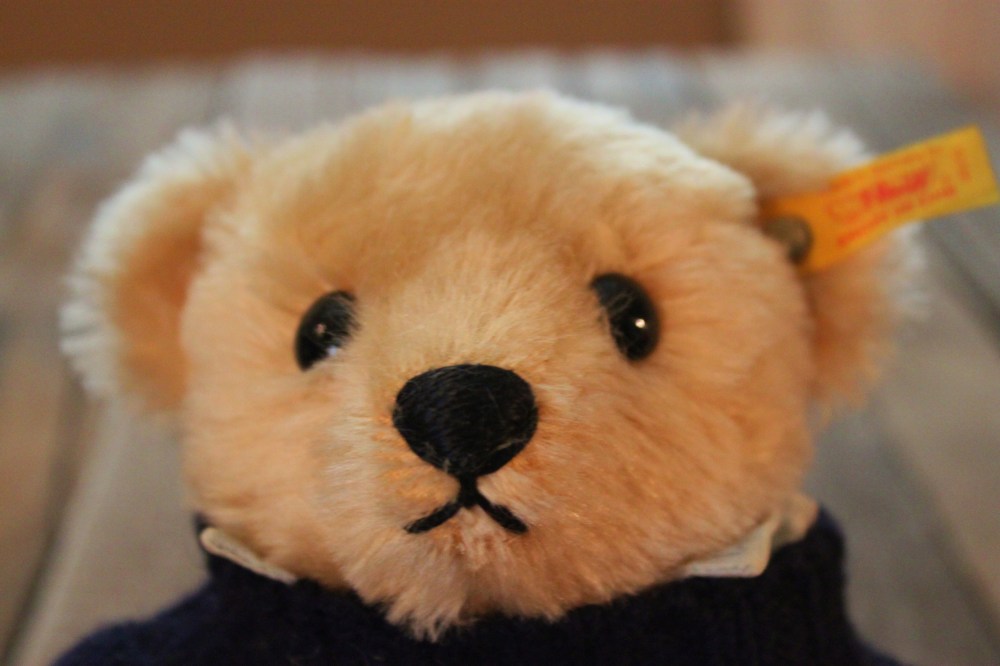 Steiff Teddy Bear Face