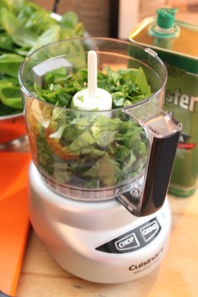 Small Food Processor for Making Pesto