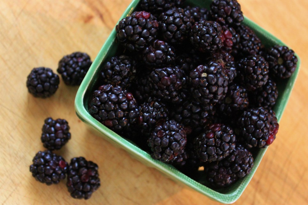 2 Cups Fresh Blackberries