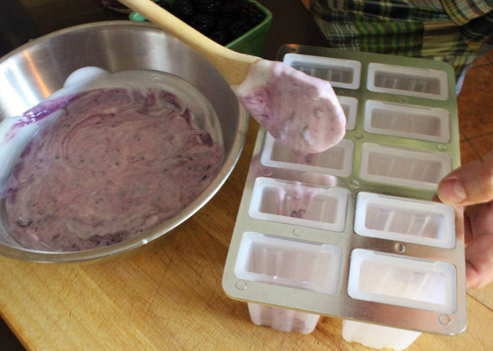 Add a Small Scoop of Yogurt Mixture tot he Bottom of Each Mold Before Adding Berries