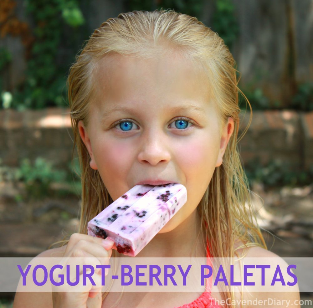 Yogurt Berry Paletas from the Cavender Diary Boys