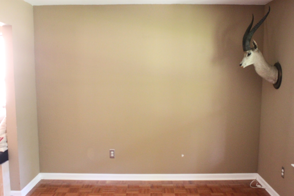 Empty Wall in the Living Room for My Shelves