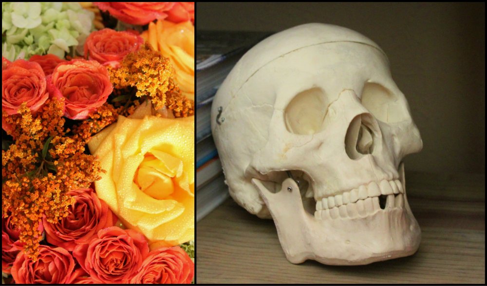 Halloween 2014 Collage 4