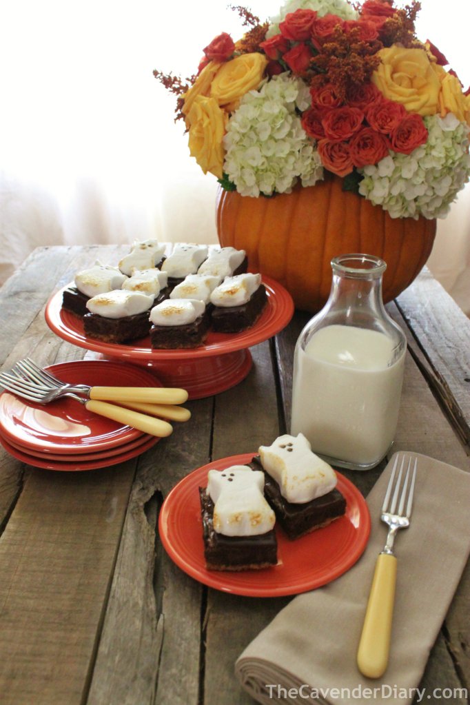 Yummy S'Mores Inspired Ghost Brownies from the Cavender Diary boys