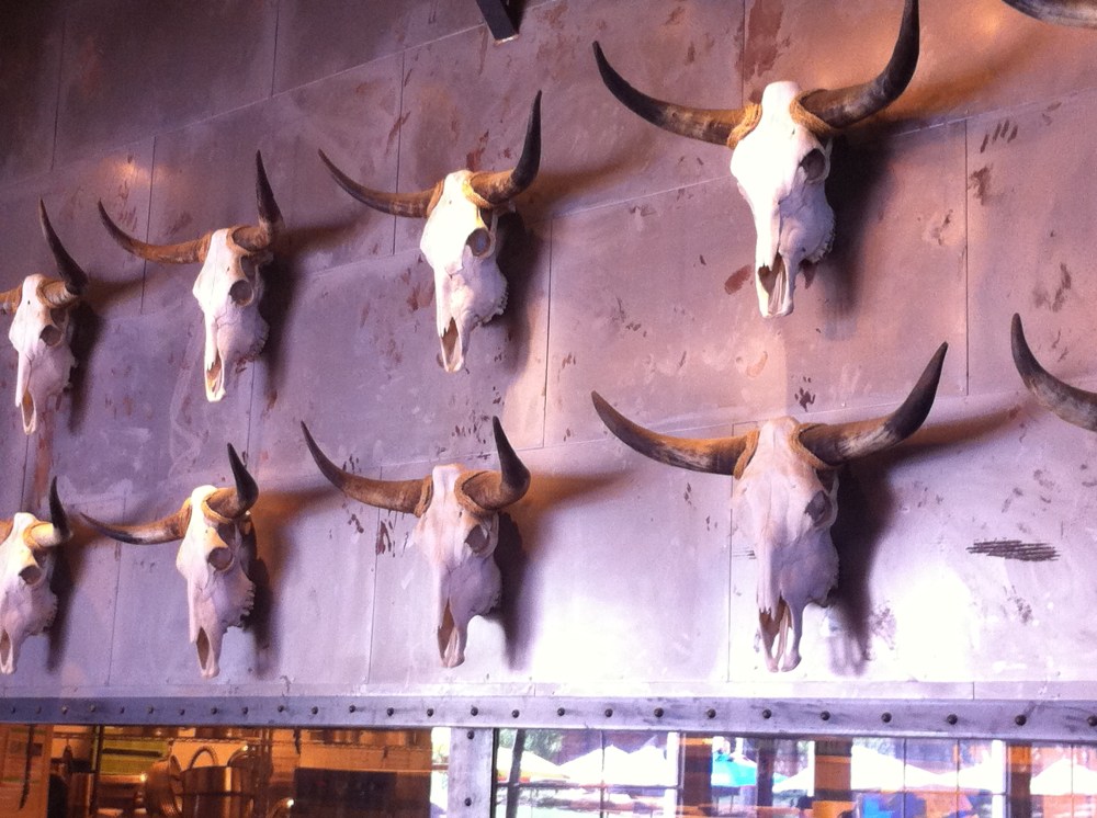 Wall of Cow Skulls at the Rustic