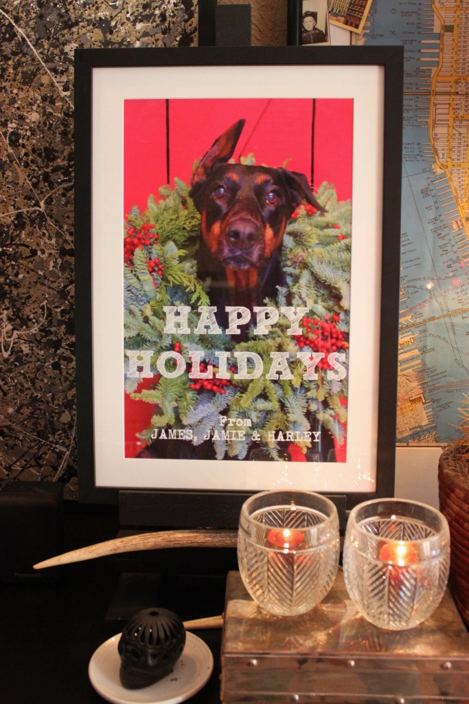 Happy Holiday from James Jamie and HArley in a Frame Christmas 2015